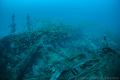 Fish on the hull